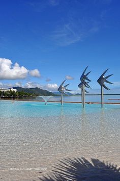 the water is crystal clear and blue in this tropical beach resort area with palm trees