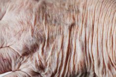 an old woman's hand with wrinkles on it