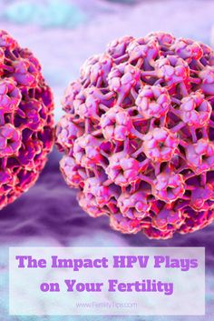 While the human papillomavirus alone does not cause infertility, it can lead to conditions that may affect fertility, specifically cervical cancer. Regular yearly exams are important for the detection of precancerous cells to maintain health and fertility. Microscopic Photography, Induce Labor, Nutrition Guidelines, Prenatal Care, Well Balanced Diet, Proper Diet, Healthy Diet Plans, Healthy Food Choices