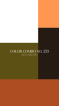 an orange, brown and white color scheme with the words color combo no 223 on it