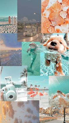 a collage of pictures with different scenes including an ocean, beach and sky in the background