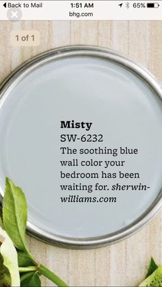 a quote on the back of a mirror with flowers and leaves around it that reads, misty sw - 6623 the soothing blue wall color you bedroom has been waiting for,