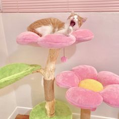 an orange and white cat laying on top of a pink flower shaped scratching tree with its mouth open