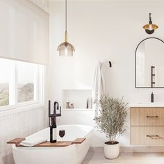 a bathroom with a tub, sink, mirror and potted plant on the counter