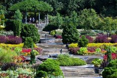 the garden is full of colorful flowers and plants, with steps leading up to it