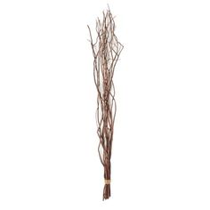 dried twigs on a white background