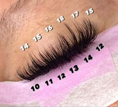 Lash Sets And Lengths, Lash Kit Eyelash Extensions, Volume Set Lash Extensions Mapping, Lash Extensions Sizes, Wispy Volume Lash Extensions Map, Whispy Lashes Extensions Map, Volume Lash Extensions Mapping, Wispy Mega Volume Lash Extensions, Lash Styles Extensions