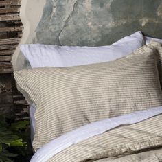 an unmade bed with two pillows and a plant in the corner next to it