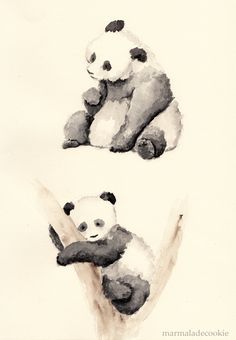 two panda bears sitting on top of a tree branch