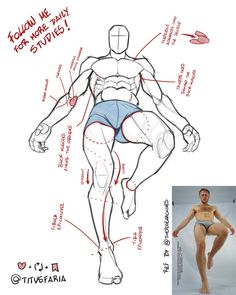 Male Foreshortening Poses, Male Hips Reference, Pecs Reference, Guy Anatomy Drawing, Male Figure Drawing Reference, Male Back Drawing Reference, Body Reference Drawing Male, Muscle Poses, Body Cartoon