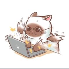 a cat with glasses is on top of a laptop