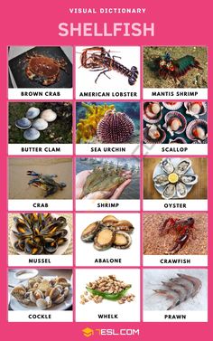 a pink poster with pictures of different types of shellfish