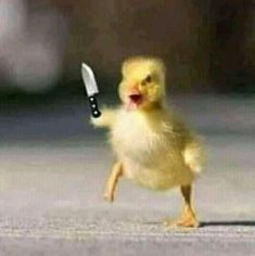 a small yellow chicken holding a knife in its mouth