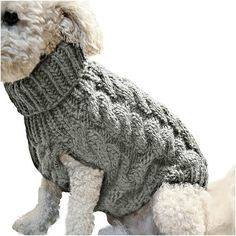 a white dog wearing a gray sweater