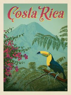 a colorful poster with a toucan bird on a branch in front of mountains