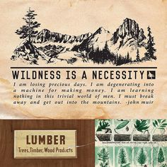 a piece of paper with an advertisement on it that says wilderness is a necessity