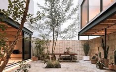 an outdoor patio with potted plants and a table in the center is surrounded by large windows