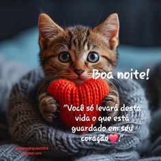 a kitten holding a red heart in its paws with the caption boa morte