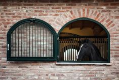 a black and white horse looking out the window of a brick building with green shutters