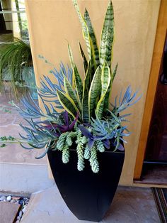 a black planter filled with lots of green and purple plants next to a door