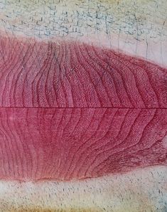 a close up view of a red piece of wood with writing on the bottom and bottom