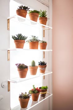 a shelf filled with lots of potted plants on top of a door sill