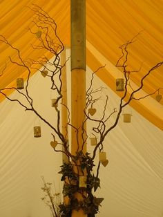 a tall vase with branches in it sitting under a yellow cloth covered tent roof, filled with candles and flowers