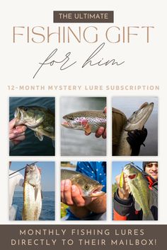 12-Month Mystery Lure Subscription Each month, they'll receive a hand-picked selection of premium freshwater fishing lures from our shop tailored to keep their fishing adventures fresh and exciting. Perfect for birthdays, holidays, or just because!