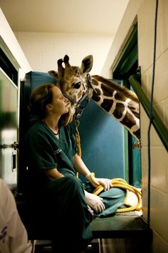 a woman in scrubs is petting a giraffe