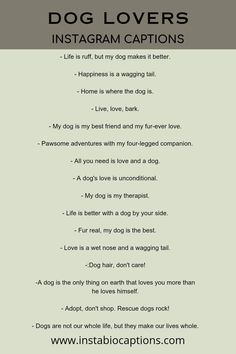 Looking for the perfect captions to show your love for dogs on Instagram? Discover 45+ delightful dog lover Instagram captions that will melt hearts and make tails wag. From heartwarming quotes to playful puns, find the ideal caption to accompany your adorable canine photos. Unleash your creativity and capture the essence of your furry friend in words. Get ready to fetch those double taps and unleash the cuteness overload! Aesthetic Dog Quotes, Dog Lover Captions For Instagram, Bio For Dogs On Instagram, Cute Dog Quotes For Instagram, Dog Short Quotes, Instagram Captions With Dogs, Dog Photo Captions Instagram, Funny Dog Captions For Instagram