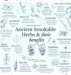 Herbs And Their Benefits, Smokable Herbs, Spells Magic, Magickal Herbs, Magia Das Ervas, Medical Herbs, Magic Herbs, Magical Herbs