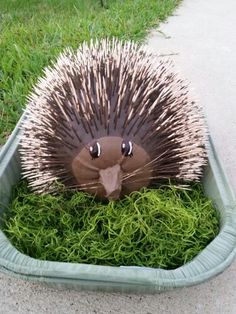 an animal that is sitting in some grass