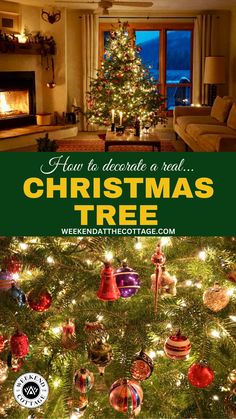 A step-by-step guide on how to put up and decorate a real Christmas tree! Real Christmas, Real Christmas Tree, Artificial Trees, Tree Trimming, Holiday Pictures, Chocolate Peppermint, Christmas Past, Tree Farms, Christmas Tree Lighting