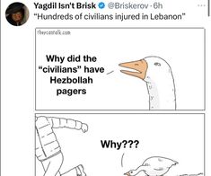 a duck and another bird with caption that reads, why did the indians have hezbolah pages?