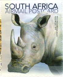 a postage stamp with a rhino on it's face and the words south africa arrival postcard