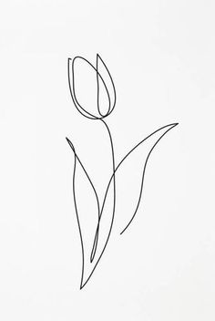 a line drawing of a single tulip on a white background with the word love written below it