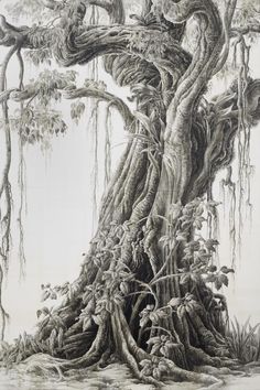 a drawing of a large tree with lots of branches hanging from it's sides