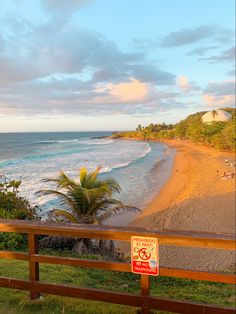 a wooden fence overlooks the beach and ocean with palm trees in the foreground