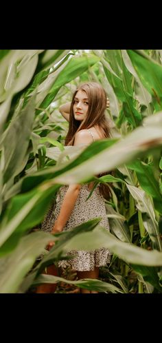 a woman standing in the middle of a corn field