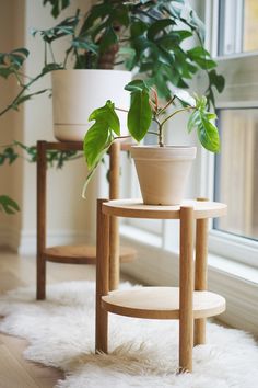 two potted plants sitting next to each other on a table in front of a window