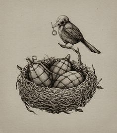 a drawing of a bird sitting on top of a nest with two eggs in it