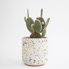 a small cactus in a white pot with sprinkles on the outside and inside