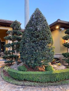 a very nice looking house with some trees in the front yard and bushes around it