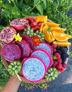 a person holding a plate full of fruit on top of green leaves and flowers in the background