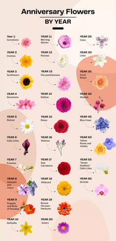 an info sheet with flowers on it and the words anniversary flowers by year written below