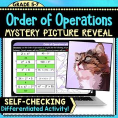 a computer screen with an image of a cat on it and the text order of operations mystery