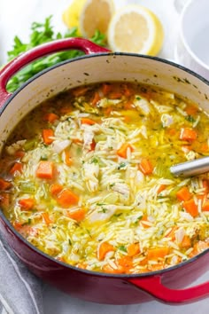 a red pot filled with chicken noodle soup and garnished with parsley