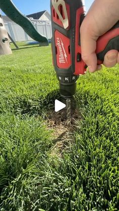 someone using a cordless drill to trim the grass