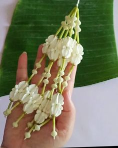 a person holding flowers in their hand