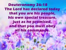 Deuteronomy 26:18 Deuteronomy 28:13, Deuteronomy 6:4-9, Deuteronomy 14:2, Deuteronomy 28:1-14, Deuteronomy 30:19-20